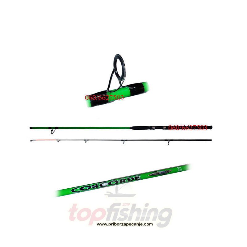 Concorde 2.70 m (50-150g) Kaida