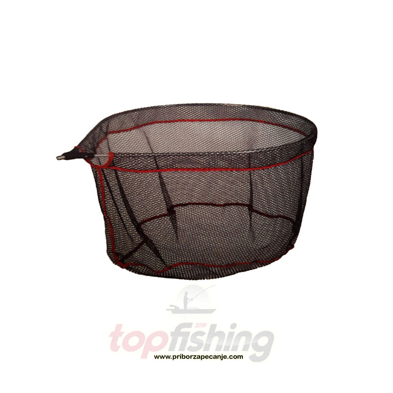 Glava meredova - 40x50 cm