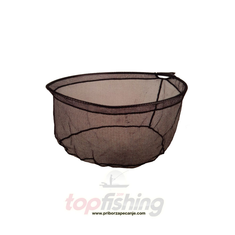 Glava meredova - 50x40 cm