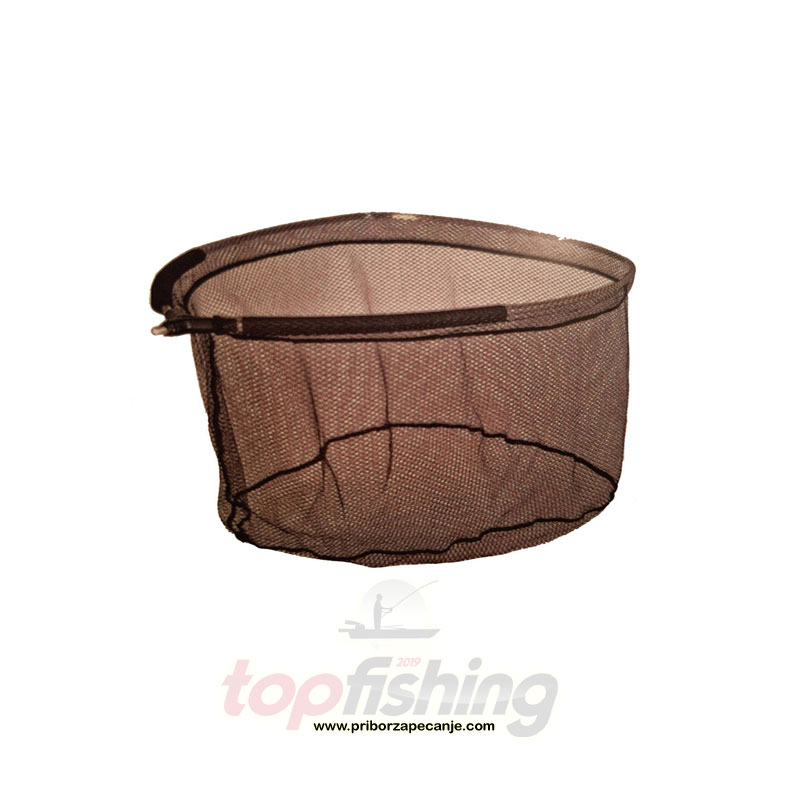 Glava meredova - 60x50 cm