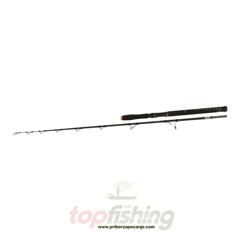 Hercules Catfish - 1,98 m