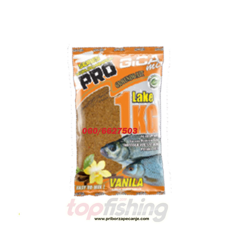 Pro (Vanila) - Gica Mix 1 kg